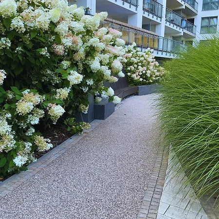 Greennest Inthe Heart Of Apartment